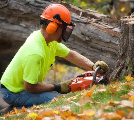 tree services Chappaqua